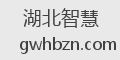 湖北智慧