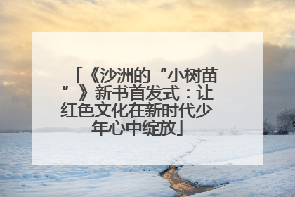 《沙洲的“小树苗”》新书首发式：让红色文化在新时代少年心中绽放