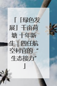 「绿色发展」千亩荷塘 十年新生｜四任航空村官的“生态接力”