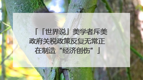 「世界说」美学者斥美政府关税政策反复无常正在制造“经济创伤”