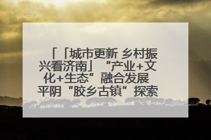 「城市更新 乡村振兴看济南」“产业+文化+生态”融合发展 平阴“胶乡古镇”探索振兴路径成效显著
