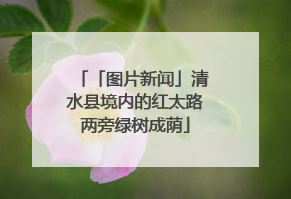 「图片新闻」清水县境内的红太路两旁绿树成荫