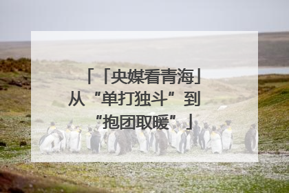 「央媒看青海」从“单打独斗”到“抱团取暖”