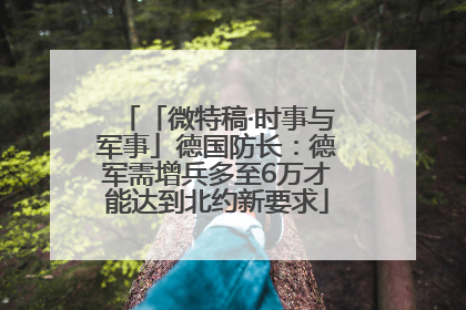 「微特稿·时事与军事」德国防长：德军需增兵多至6万才能达到北约新要求