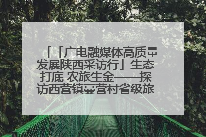「广电融媒体高质量发展陕西采访行」生态打底 农旅生金——探访西营镇蔓营村省级旅游示范村的振兴密码