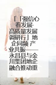「强信心 看发展·高质量发展调研行」地企同频 产业共振——永昌县与金川集团地企融合推动重大项目建设