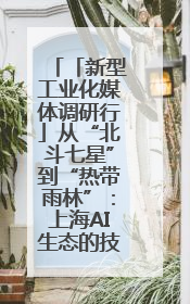 「新型工业化媒体调研行」从“北斗七星”到“热带雨林”：上海AI生态的技术商业共生密码