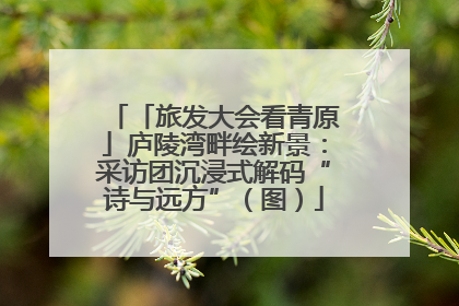 「旅发大会看青原」庐陵湾畔绘新景：采访团沉浸式解码“诗与远方”（图）