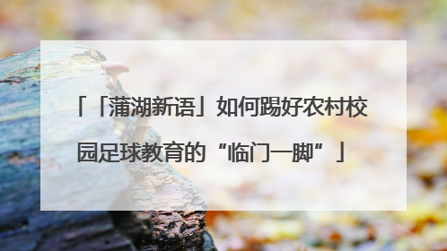 「蒲湖新语」如何踢好农村校园足球教育的“临门一脚”