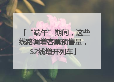 “端午”期间，这些线路调增客票预售量，S2线增开列车