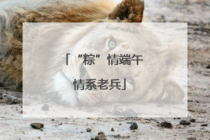 “粽”情端午 情系老兵