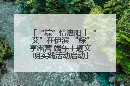 “粽”情洛阳丨“艾”在伊滨 “粽”享露营 端午主题文明实践活动启动