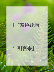 “紫色花海”引客来