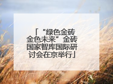 “绿色金砖 金色未来”金砖国家智库国际研讨会在京举行