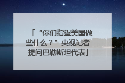 “你们指望美国做些什么？”央视记者提问巴勒斯坦代表