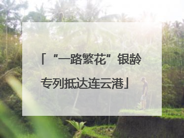 “一路繁花”银龄专列抵达连云港