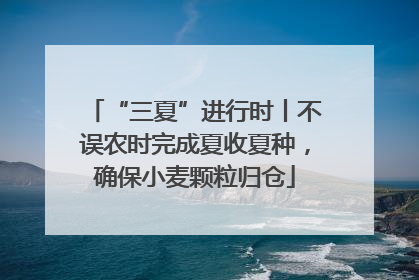 “三夏”进行时丨不误农时完成夏收夏种，确保小麦颗粒归仓