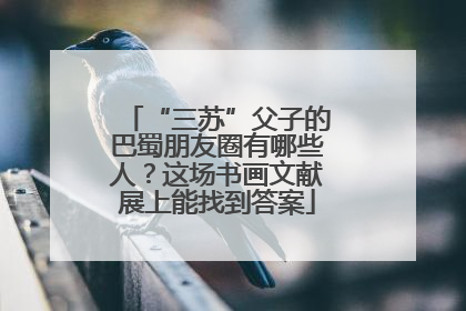 “三苏”父子的巴蜀朋友圈有哪些人？这场书画文献展上能找到答案