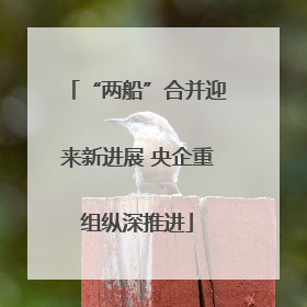 “两船”合并迎来新进展 央企重组纵深推进