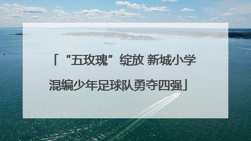 “五玫瑰”绽放 新城小学混编少年足球队勇夺四强