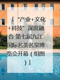 “产业+文化+科技”深度融合 第七届九江国际名茶名泉博览会开幕（组图）