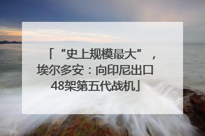 “史上规模最大”，埃尔多安：向印尼出口48架第五代战机