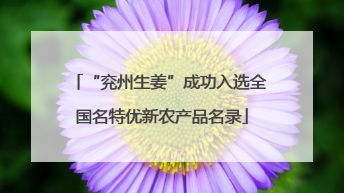“兖州生姜”成功入选全国名特优新农产品名录