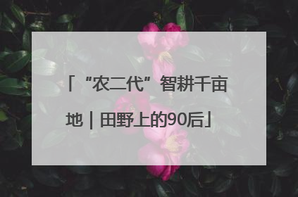 “农二代”智耕千亩地｜田野上的90后