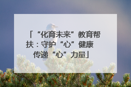 “化育未来”教育帮扶：守护“心”健康 传递“心”力量