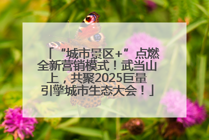 “城市景区+”点燃全新营销模式！武当山上，共聚2025巨量引擎城市生态大会！