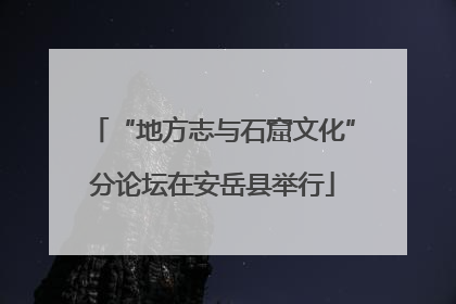 “地方志与石窟文化”分论坛在安岳县举行
