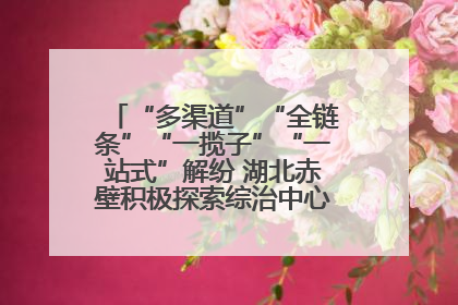 “多渠道”“全链条”“一揽子”“一站式”解纷 湖北赤壁积极探索综治中心规范化建设新路子