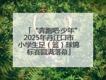 “奔跑吧·少年”2025年丹江口市小学生足（篮）球锦标赛圆满落幕