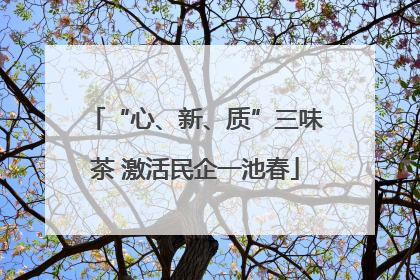 “心、新、质”三味茶 激活民企一池春
