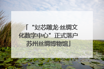 “彣芯雕龙·丝绸文化数字中心”正式落户苏州丝绸博物馆