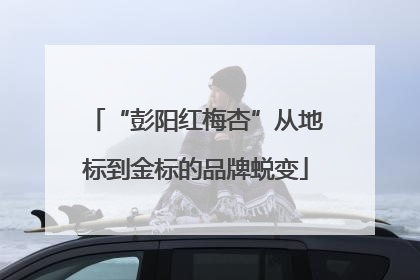 “彭阳红梅杏”从地标到金标的品牌蜕变