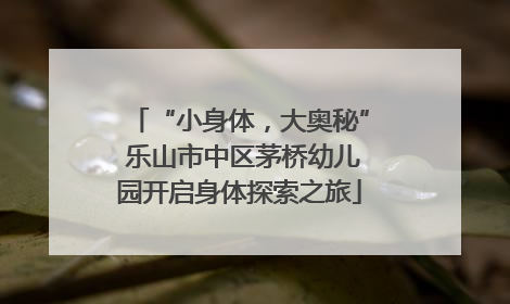 “小身体，大奥秘” 乐山市中区茅桥幼儿园开启身体探索之旅