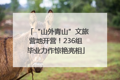 “山外青山”文旅营地开营！236组毕业力作惊艳亮相