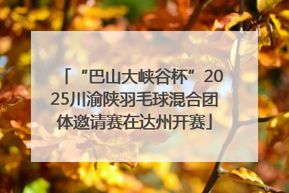 “巴山大峡谷杯”2025川渝陕羽毛球混合团体邀请赛在达州开赛