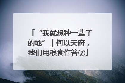 “我就想种一辈子的地”｜何以天府，我们用粮食作答②