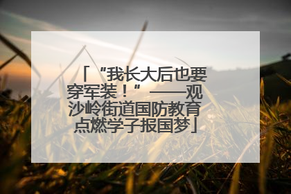 “我长大后也要穿军装！”——观沙岭街道国防教育点燃学子报国梦