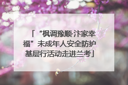 “枫调豫顺·汴家幸福”未成年人安全防护基层行活动走进兰考