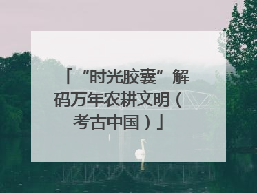 “时光胶囊”解码万年农耕文明（考古中国）