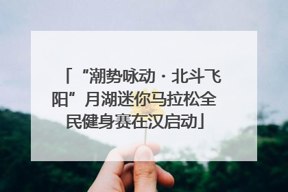 “潮势咏动・北斗飞阳”月湖迷你马拉松全民健身赛在汉启动
