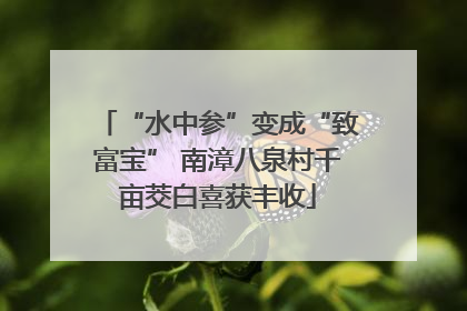 “水中参”变成“致富宝” 南漳八泉村千亩茭白喜获丰收