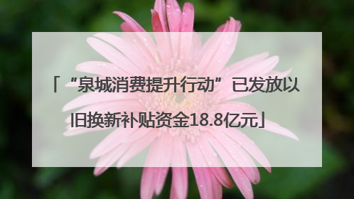 “泉城消费提升行动”已发放以旧换新补贴资金18.8亿元