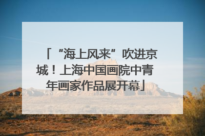 “海上风来”吹进京城！上海中国画院中青年画家作品展开幕