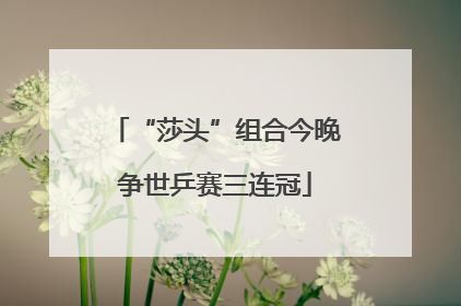 “莎头”组合今晚争世乒赛三连冠