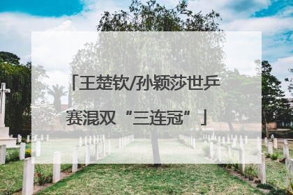 王楚钦/孙颖莎世乒赛混双“三连冠”