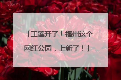王莲开了！福州这个网红公园，上新了！